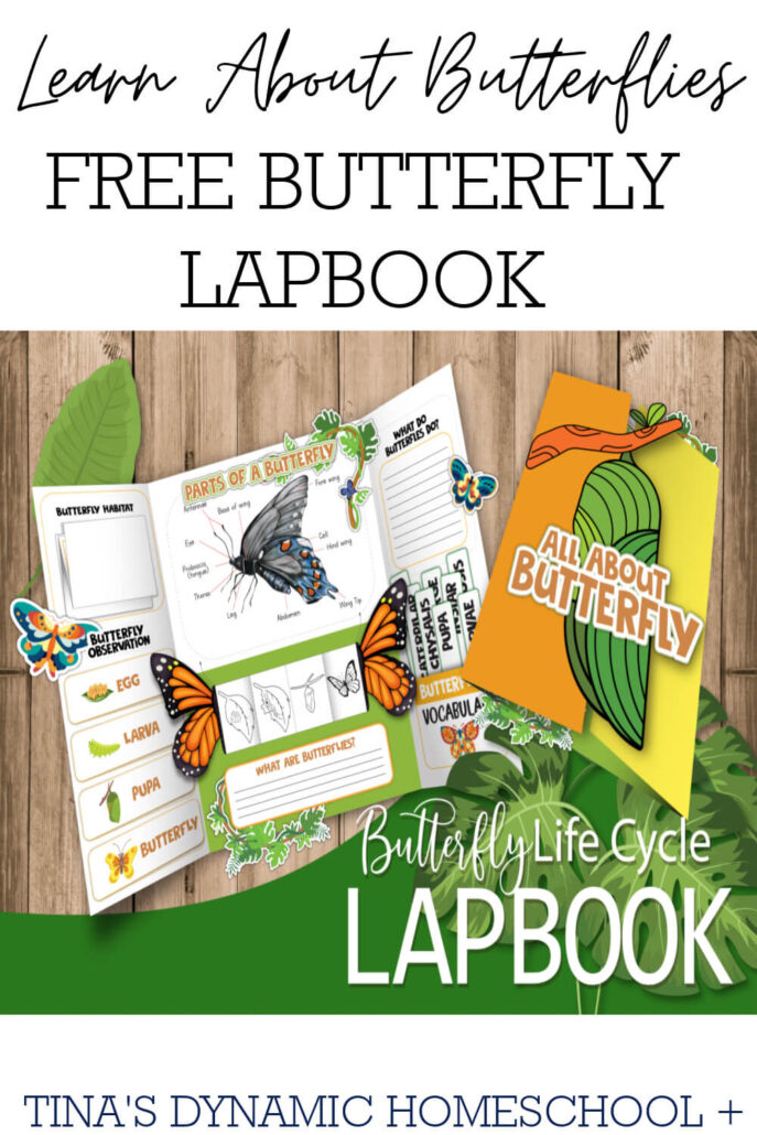 Free Butterfly Lapbook For Kids Who Love Hands-On Learning