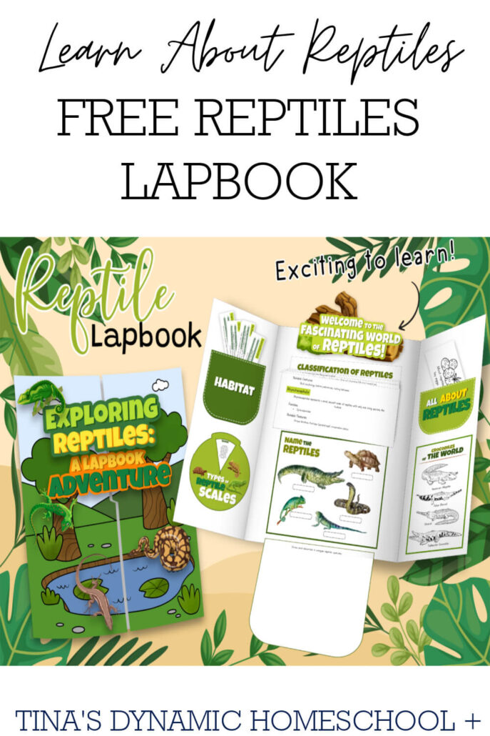 Free Reptiles Lapbook for Kids Who Love Hands-on Learning