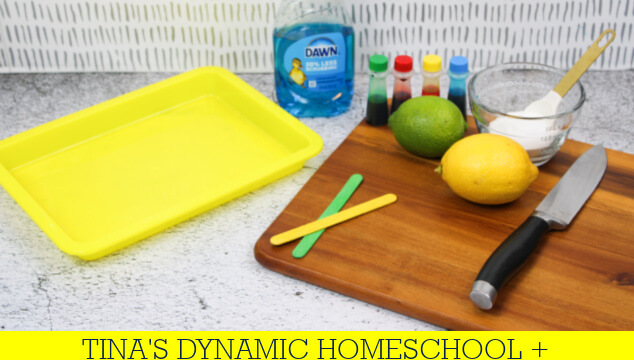 How To Make A Lime | Lemon Volcano Science Experiment