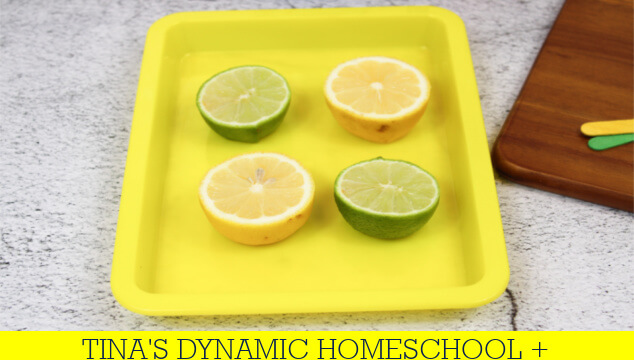 How To Make A Lime | Lemon Volcano Science Experiment