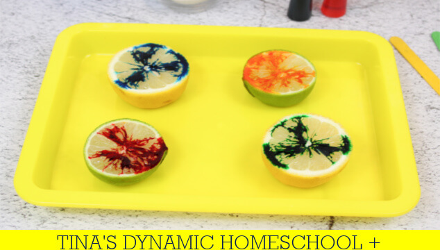 How To Make A Lime | Lemon Volcano Science Experiment