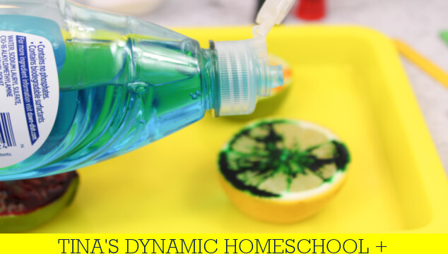 How To Make A Lime | Lemon Volcano Science Experiment