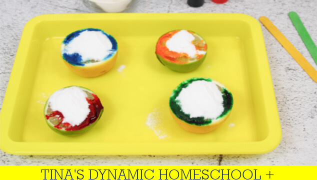 How To Make A Lime | Lemon Volcano Science Experiment