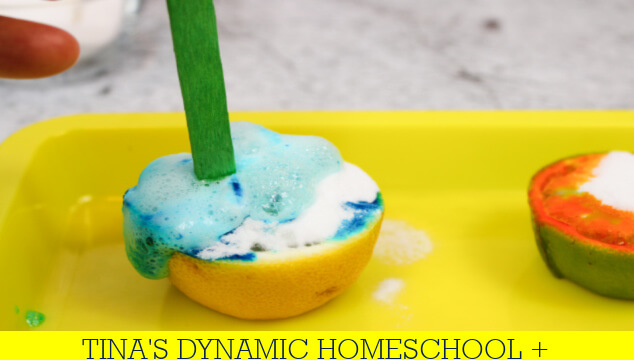 How To Make A Lime | Lemon Volcano Science Experiment