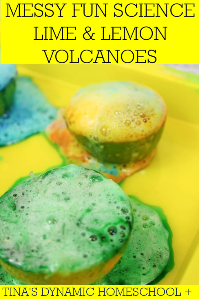 How To Make A Lime | Lemon Volcano Science Experiment