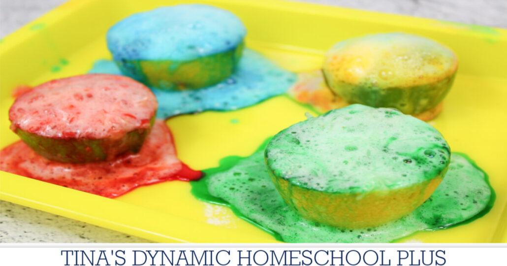 How To Make A Lime | Lemon Volcano Science Experiment