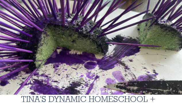 How To Make A Simple Sea Urchin Craft: Echinoderms For Kids