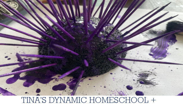How To Make A Simple Sea Urchin Craft: Echinoderms For Kids