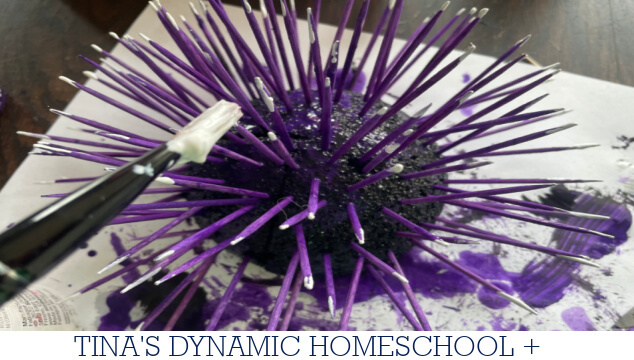 How To Make A Simple Sea Urchin Craft: Echinoderms For Kids
