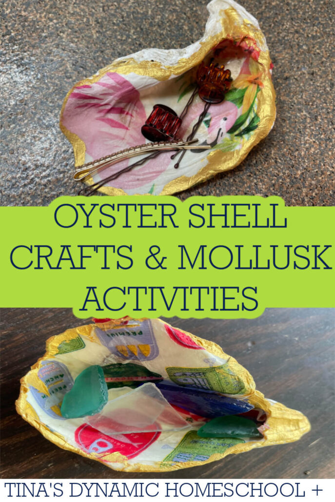 Simple Oyster Shell Crafts For Kids And Mollusks Activities
