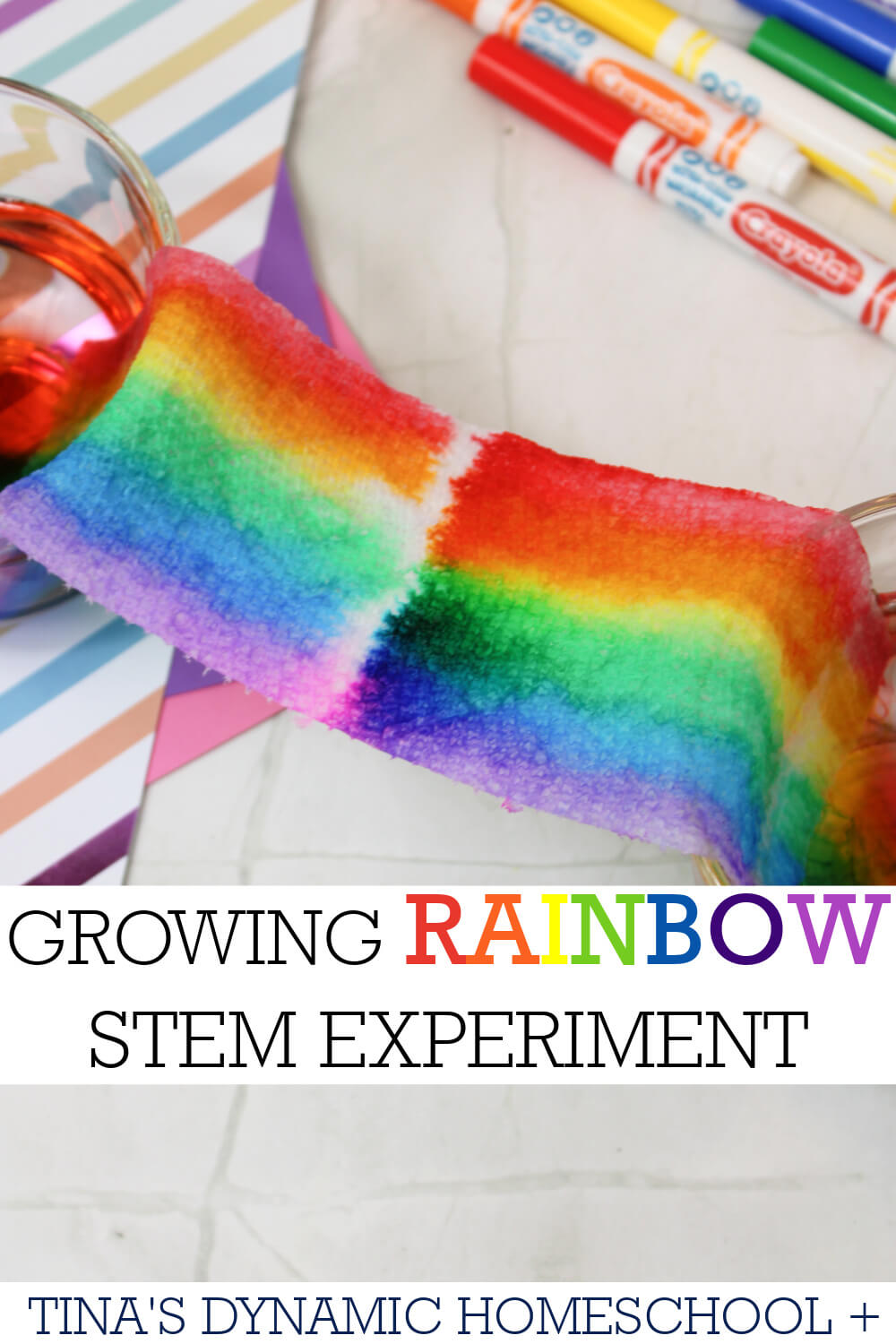 Why Does A Rainbow Appear After A Drizzle | Magic Rainbow Experiment