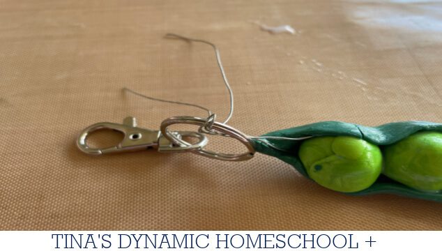 Why Mendel Chose Peas | How to Make a Peas in a Pod Keychain