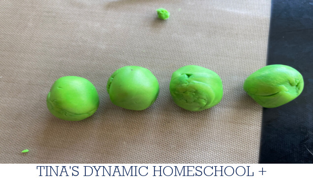 Why Mendel Chose Peas | How to Make a Peas in a Pod Keychain