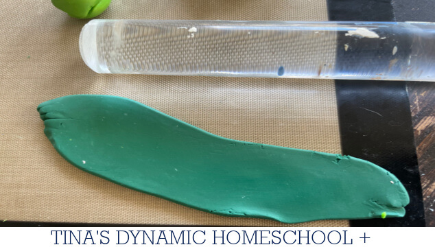Why Mendel Chose Peas | How to Make a Peas in a Pod Keychain