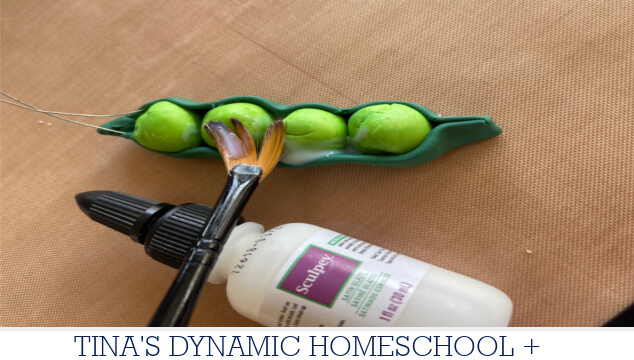 Why Mendel Chose Peas | How to Make a Peas in a Pod Keychain
