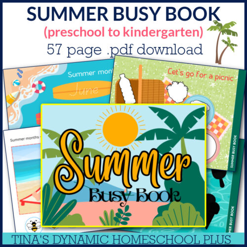 Dynamic Simple Summer Busy Book For Kids Who Love Learning