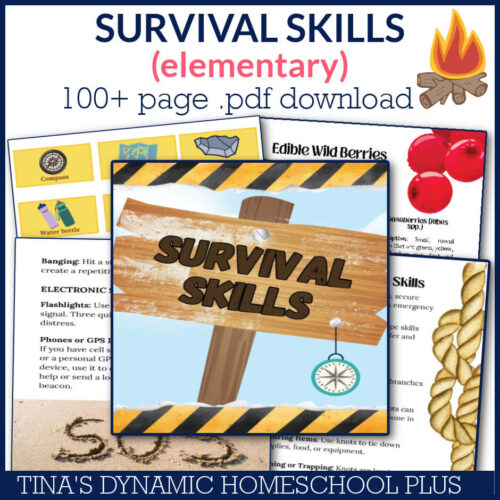 Quick And Easy Study: Survival Skills