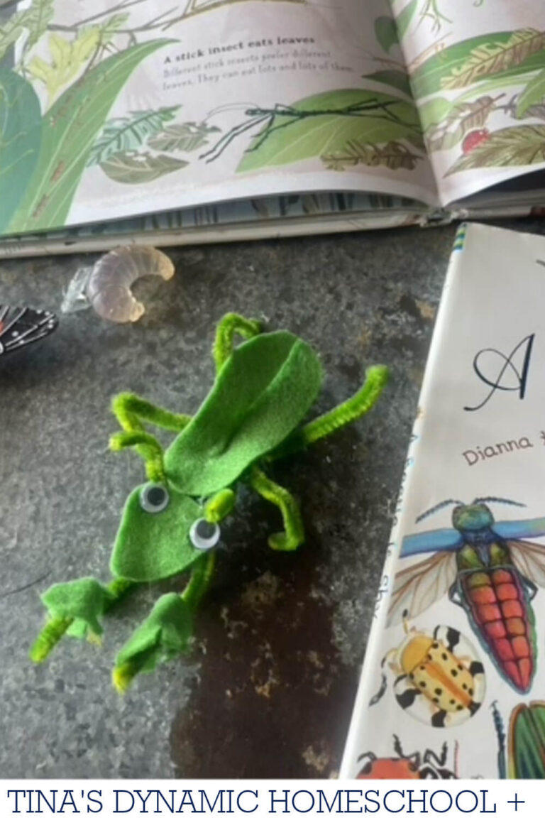 Insect Bodycraft Easy Praying Mantis Craft: Awesome Insect Projects for Elementary Students