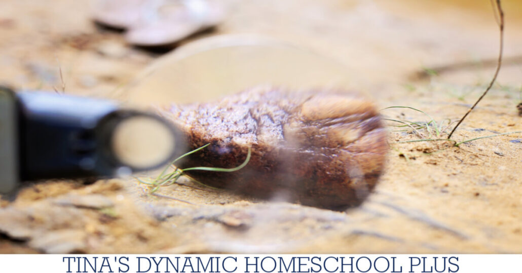 Rock and Mineral Project Ideas for Kids Who Love Hands-on