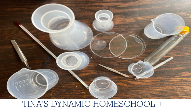 Bio Lab Basic Material An Easy Beginner’s Guide to Biology Lab Supplies High School