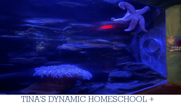 How To Combine High School Homeschool Marine Biology Curriculum ...