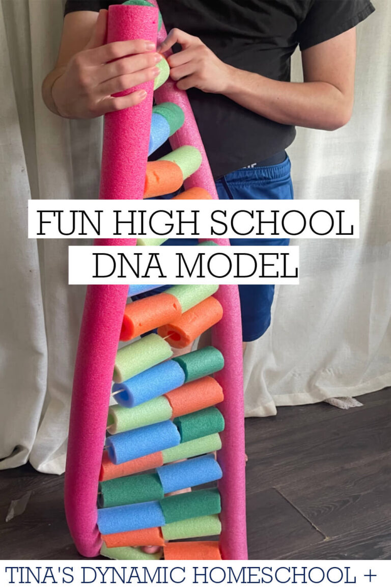Fun and Easy High School DNA Model Project