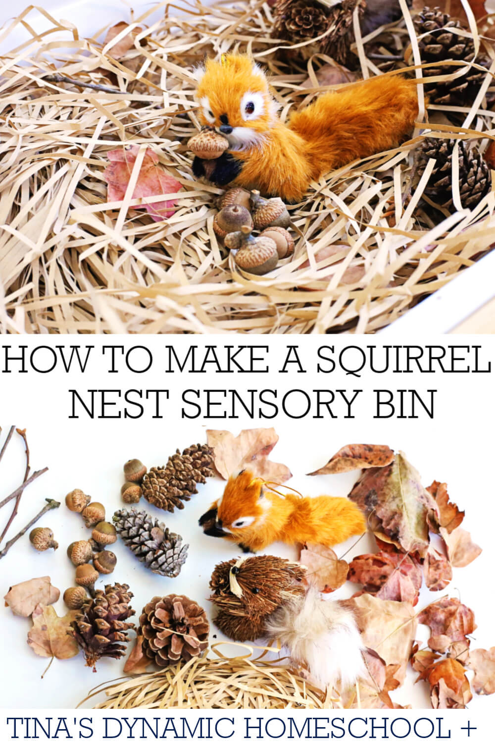 How To Make A Squirrel Nest Sensory Bin With Preschoolers