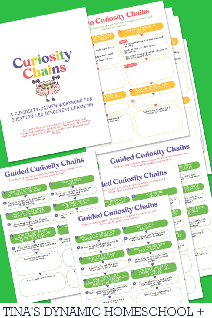 Unique Curiosity Chains Short Questions And Answers Freebie