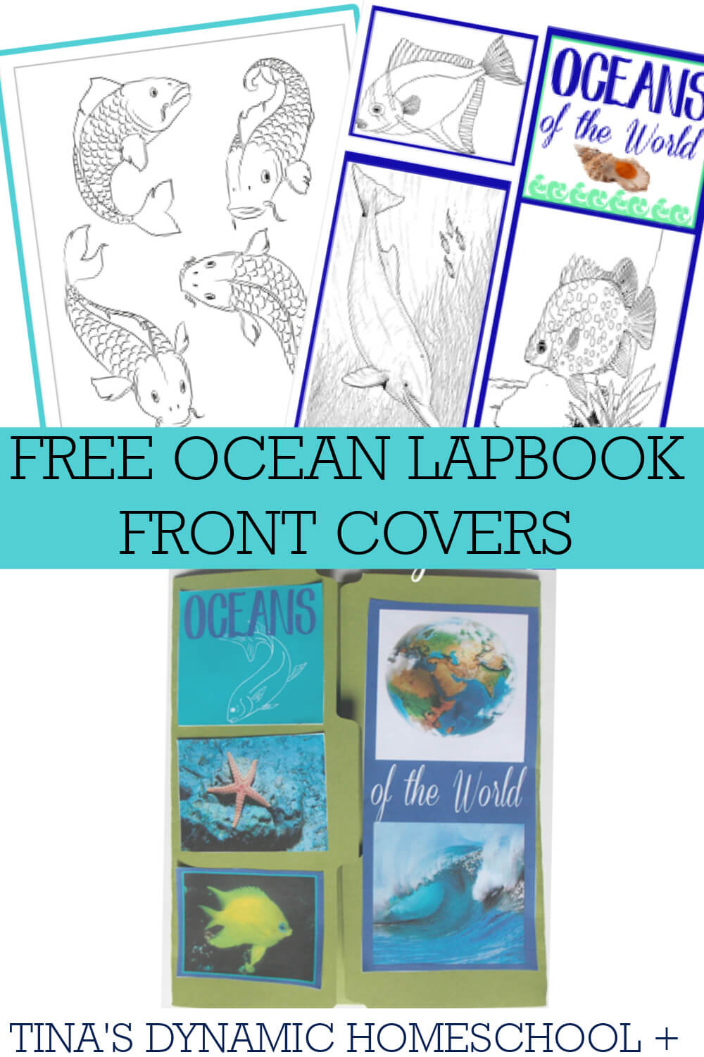 Free Ocean Unit Study Lapbook Covers