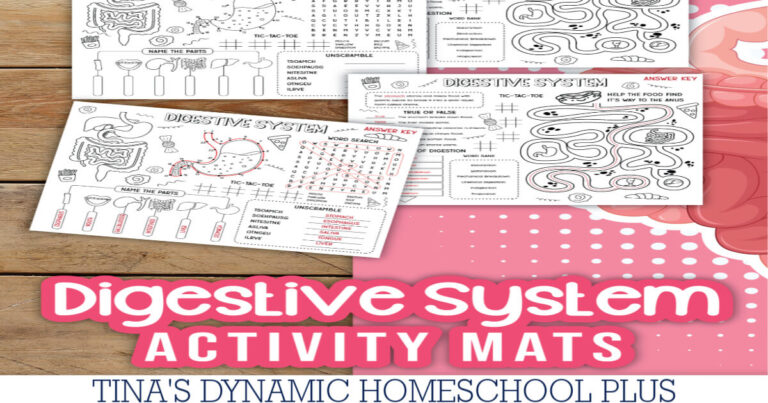Make Learning Fun: Free Printable Digestive System Activity