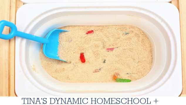 Fun Worm Books For Preschoolers And How To Make A Worms Sensory Bin