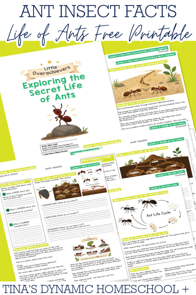 ants Archives - Tina's Dynamic Homeschool Plus