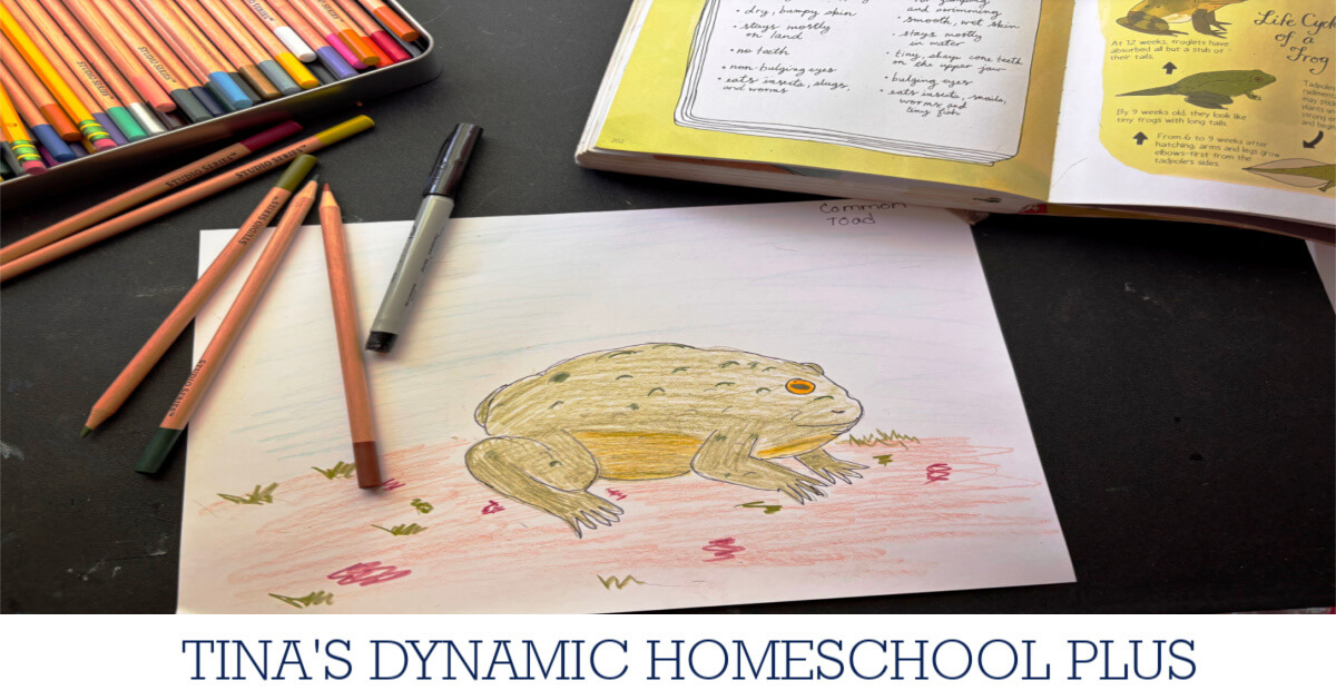 How To Draw A Toad