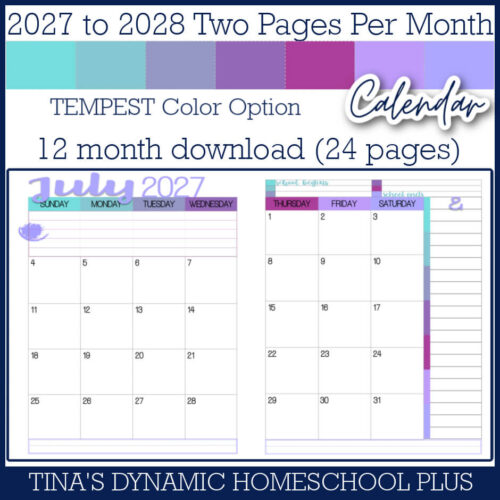 2027-2028 Two Pages Per Month Calendar – Tempest Color